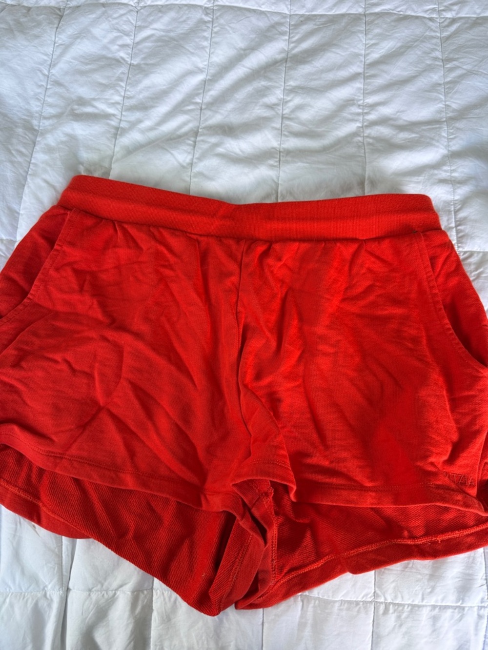 Aritzia Terry Fleece Shorts